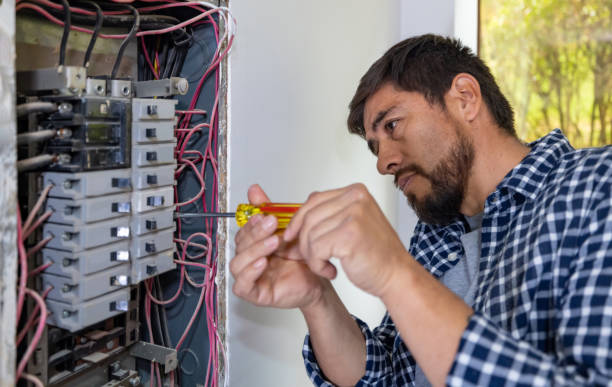 Best Home Electrical Repair  in Aviston, IL